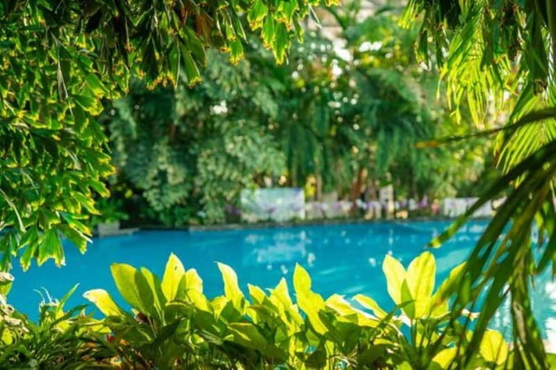 Bucharest: All Day Therme with Elysium Experience - The Sum Up