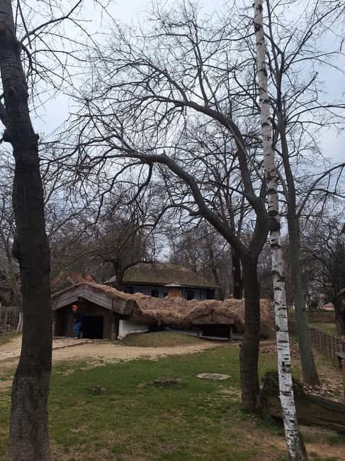 Bucharest: Arc de Triomphe & Village Museum Guided Tour - What’s Included and What to Consider