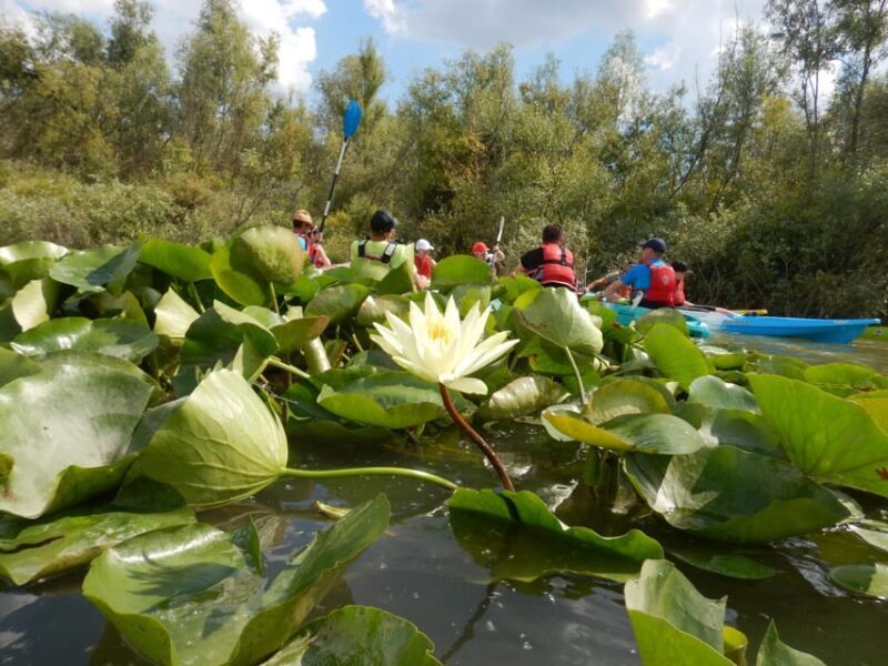 Bucharest: Arges River Kayaking Tour with Transfers - Practical Details and Tips