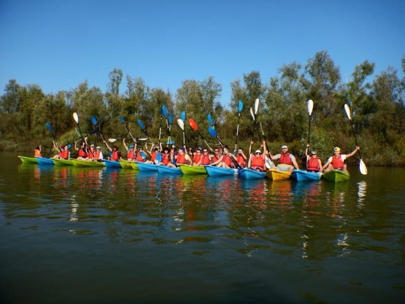 Bucharest: Arges River Kayaking Tour with Transfers - Authentic Insights from Reviews