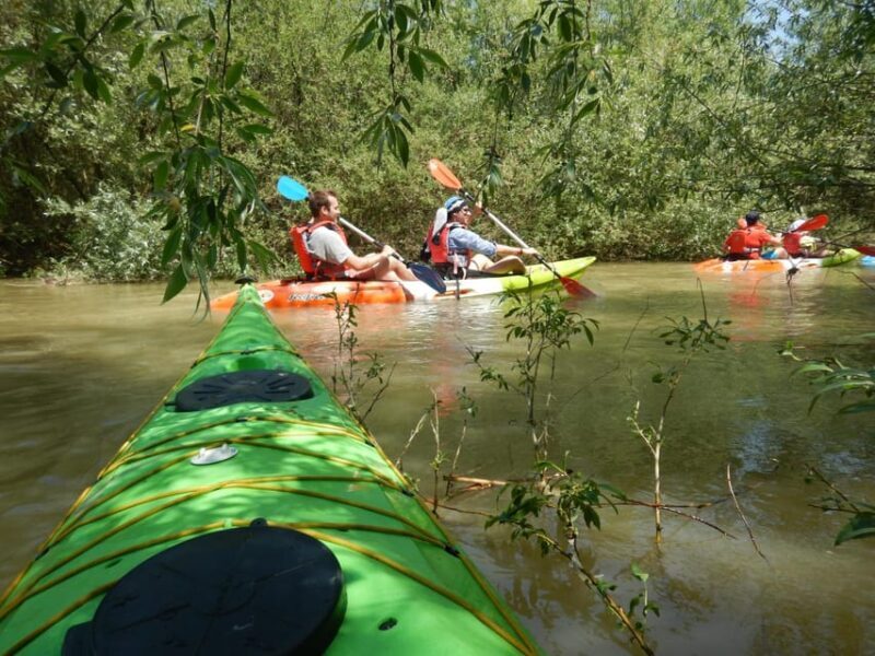 Bucharest: Arges River Kayaking Tour with Transfers - Who Will Love This Tour?