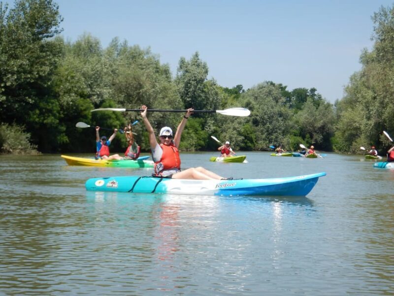 Bucharest: Arges River Kayaking Tour with Transfers - Final Thoughts