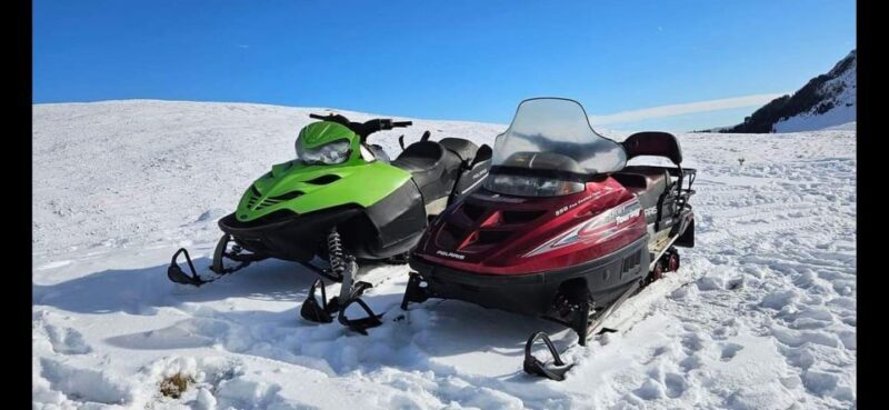 Bucharest: Carpathian Snowmobile Adventure Tour - Authentic Experiences and Guides That Make the Difference