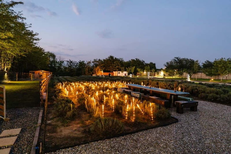 Bucharest: Day Trip at the The Tribe Alpaca Retreat - Key Points