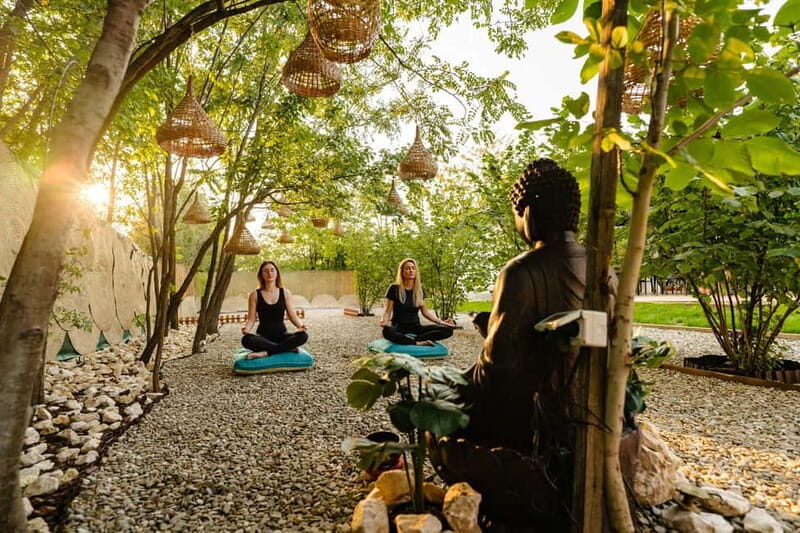 Bucharest: Day Trip at the The Tribe Alpaca Retreat - Final Thoughts