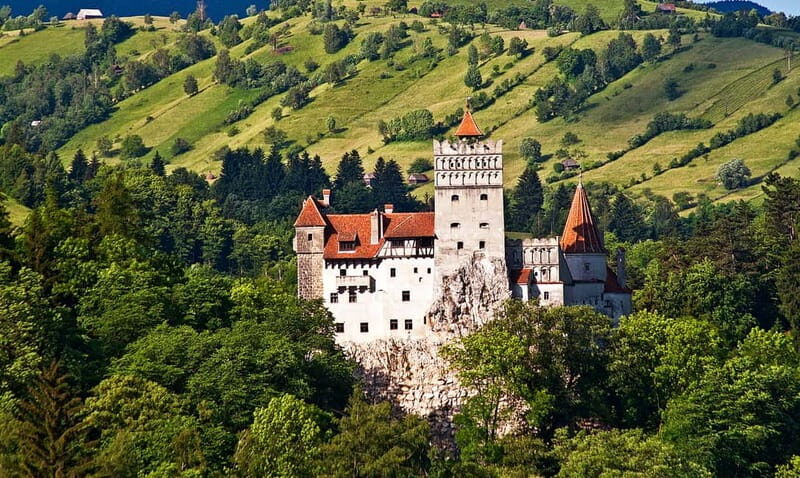 Bucharest: Day Trip to Bear Sanctuary, Bran Castle & Brasov - A Deep Dive into the Transylvania Day Trip
