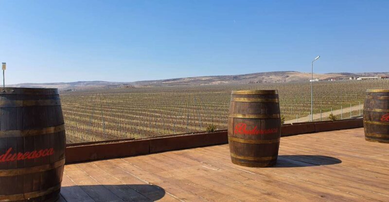 Bucharest: Dealu Mare Winery Private Trip with Wine Tasting - The Value of the Experience