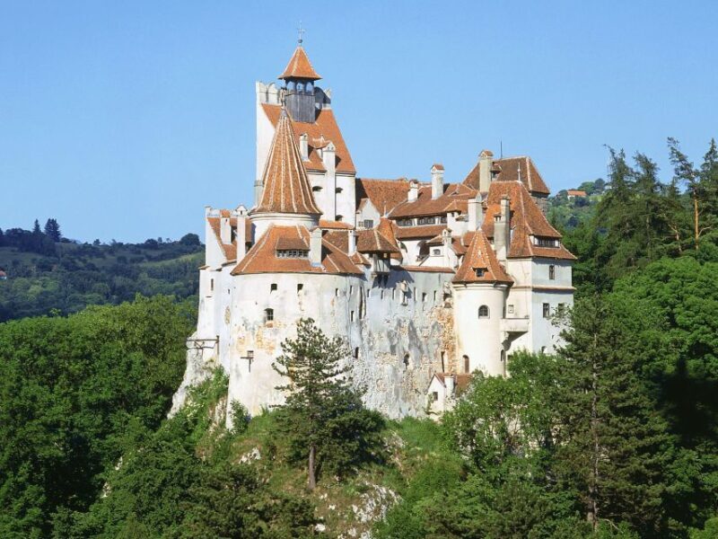 Bucharest: Dracula's Castle, Peles Castle, & Brasov Old Town - Why This Tour Is a Great Choice