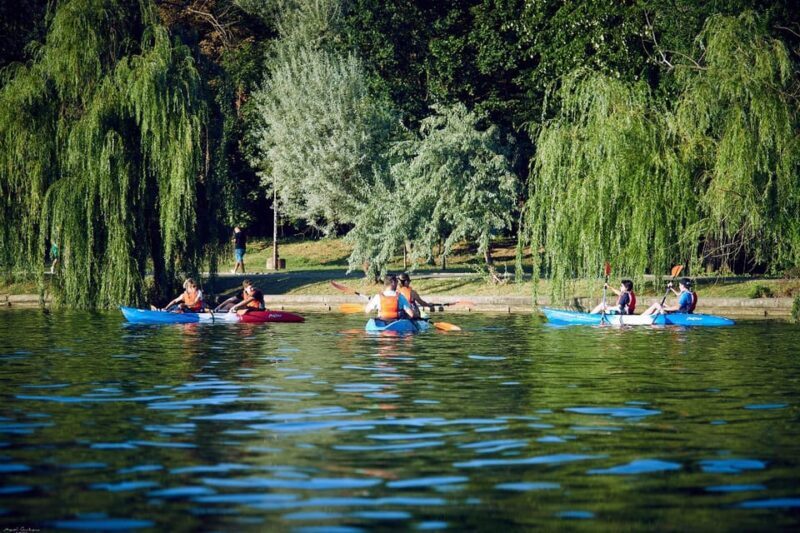 Bucharest: Guided Kayaking Tour in Herastrau Park - Key Points