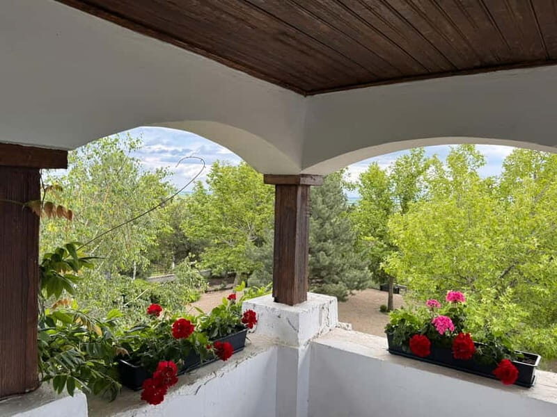 Bucharest: Half-Day Tour of Dealu Mare Wineries - Key Points