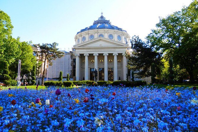 Bucharest Layover Tour (6 - Hour Private City Tour Between Flights) - Exploring Bucharest During Your Layover: A Practical and Authentic 6-Hour Private Tour