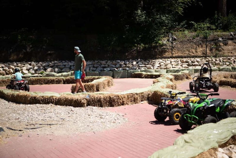 Bucharest: Magic Park & Bear Sanctuary Day Trip - Key Points