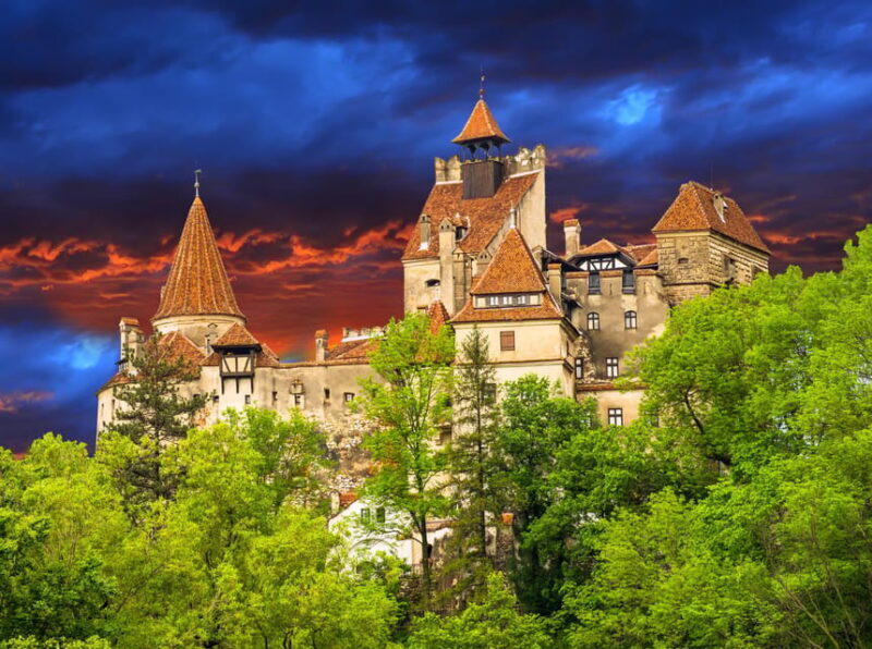 Bucharest: Peles Castle, Bran Castle, & Brasov Full-Day Tour - An In-Depth Look at the Tour Experience