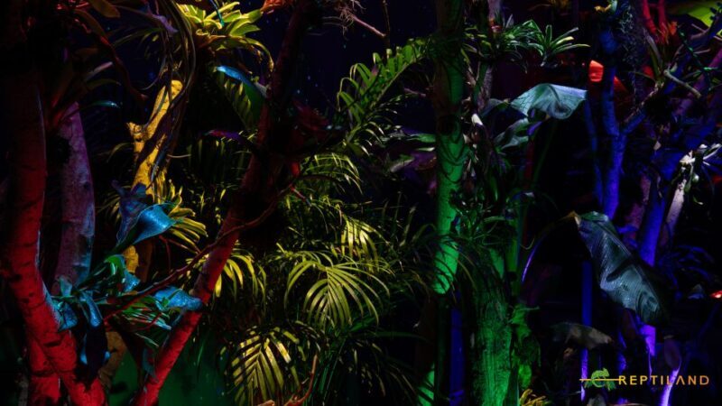 Bucharest: Reptiland Bucharest Entry Ticket - What Makes Reptiland Bucharest Stand Out?