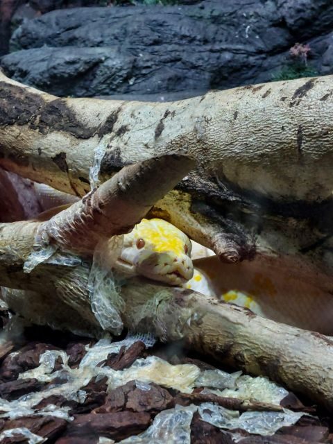 Bucharest: Reptiland Bucharest Entry Ticket - Pricing and Value