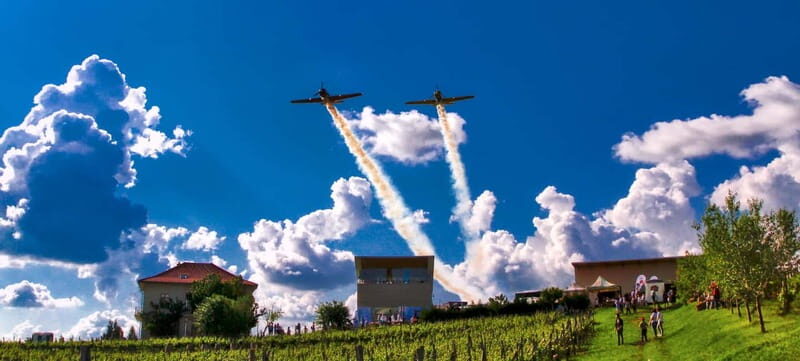 Bucharest: Taste the Magic of Wine in Romanias Tuscany - An In-Depth Look at the Experience