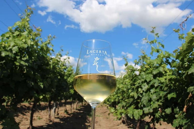 Bucharest: Taste the Magic of Wine in Romanias Tuscany - Some Considerations