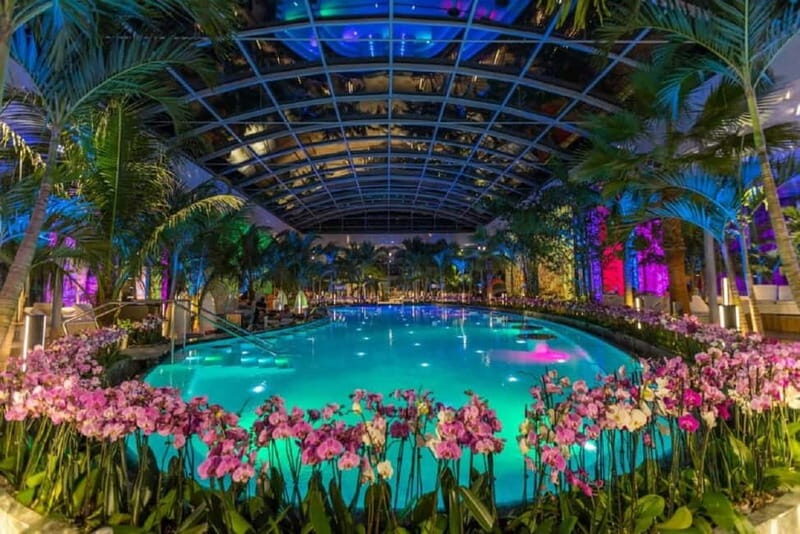 Bucharest: Therme Bucuresti Entry Ticket with Transfer - Key Points