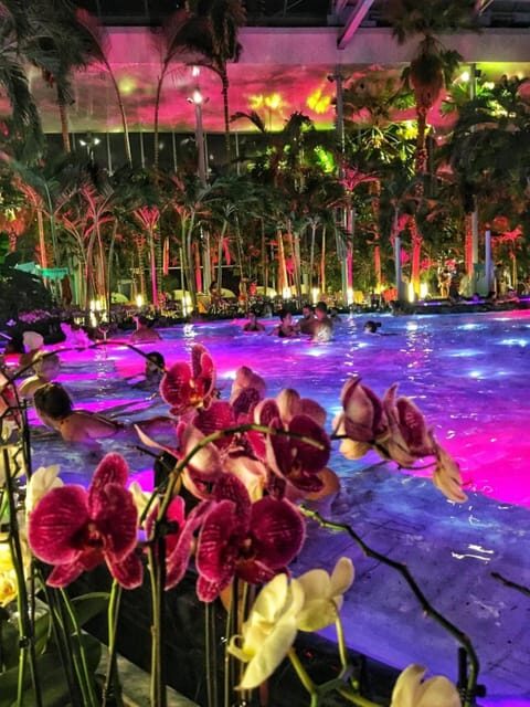 Bucharest: Therme Spa Night Experience with Transfer - Key Points