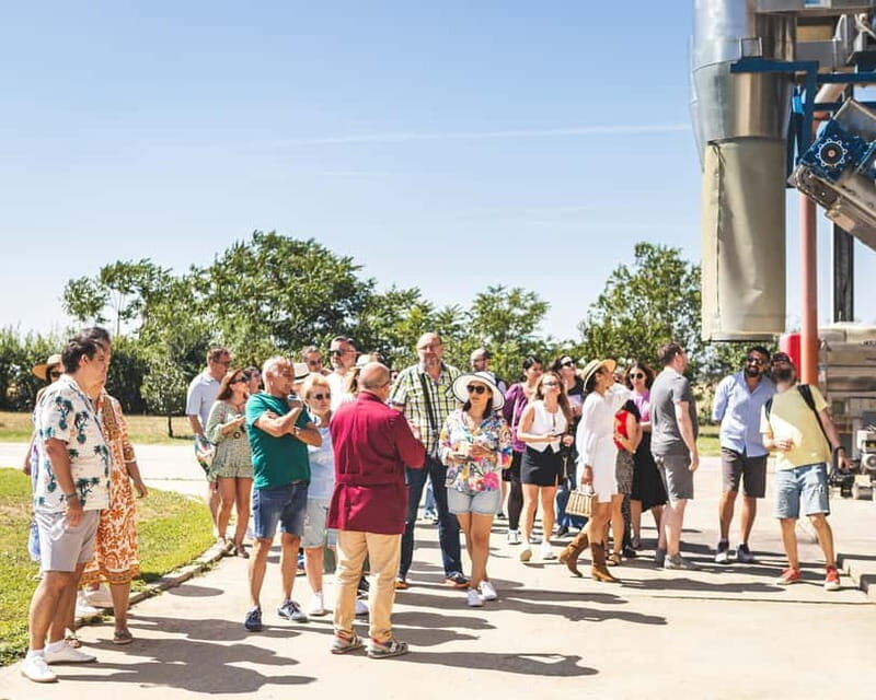 Bucharest: Tour The Wine Road, 2 Boutique Wineries in 1 Day - Key Points