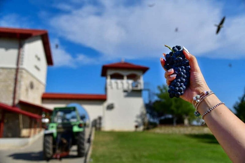 Bucharest: Tour The Wine Road, 2 Boutique Wineries in 1 Day - An In-Depth Look at the Wineries and Experience