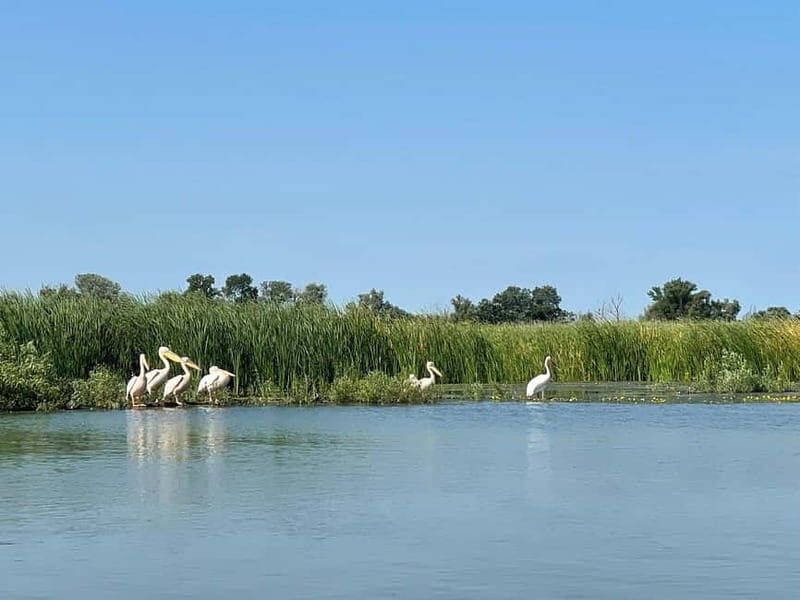 Bucharest: Tour to Danube Delta 2-Days With Boat Tour - Practical Details and Why They Matter