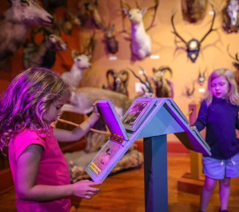 Buckhorn Saloon & Museum / Texas Ranger Museum Entry Ticket - A Practical Look at the Buckhorn Saloon & Museum / Texas Ranger Museum Tour