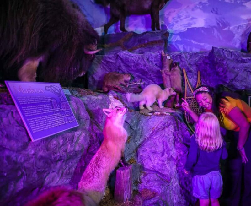 Buckhorn Saloon & Museum / Texas Ranger Museum Entry Ticket - What Real Visitors Say