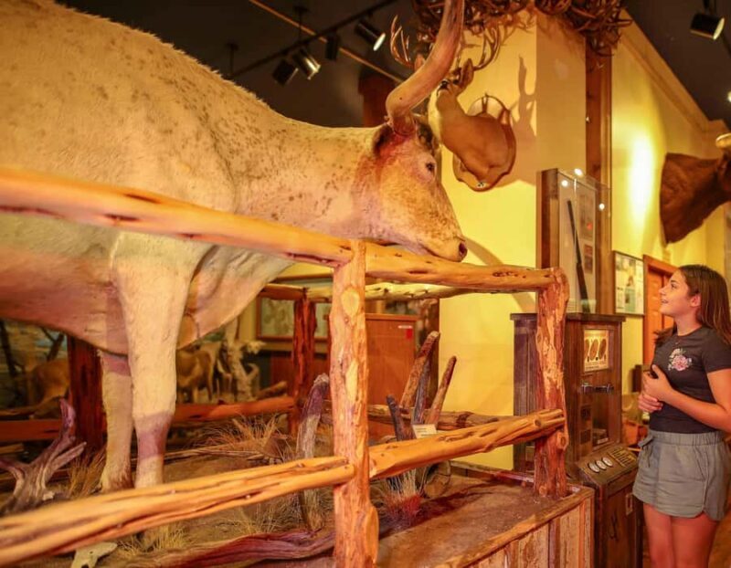 Buckhorn Saloon & Museum / Texas Ranger Museum Entry Ticket - Frequently Asked Questions