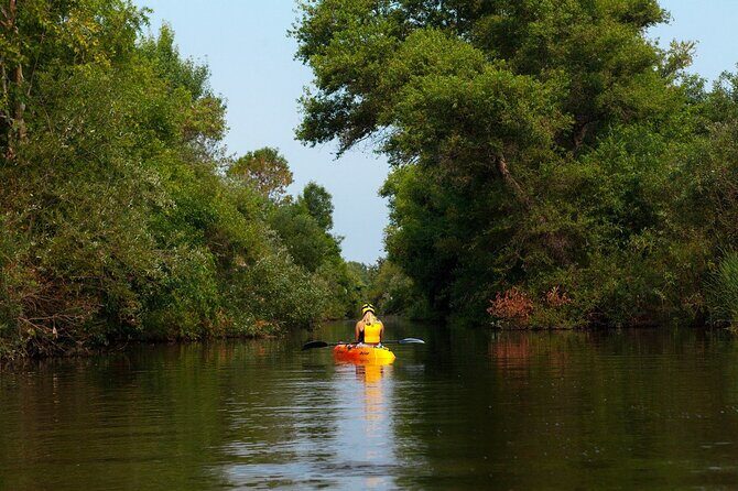 Buckhorn State Park nature hike, kayaking tour, and fishing - Who Will Love This Experience?