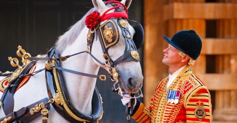Buckingham Palace: The Royal Mews Entrance Ticket - Introduction: Inside the Royal Mews