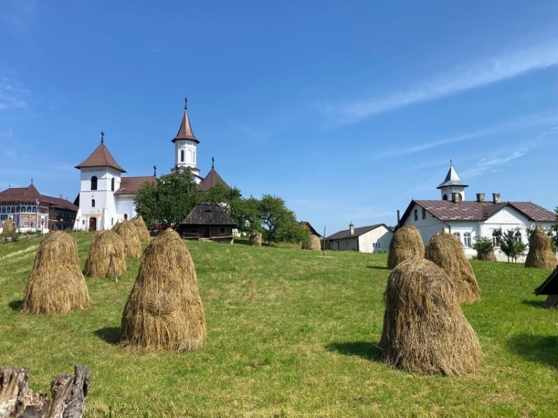 Bucovina Painted Monasteries Tour from Suceava/Gura Humor - Frequently Asked Questions