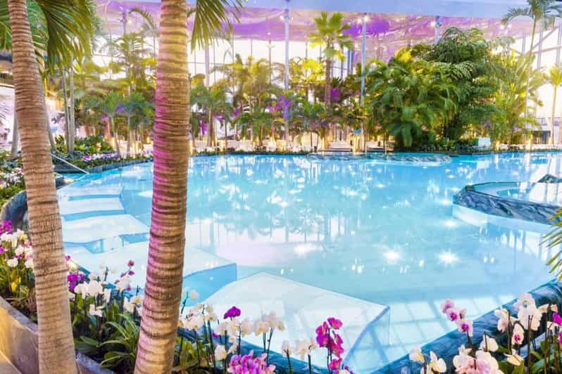 Bucuresti: Bucuresti Therme Transfer and Full-Day Access - The Transport: Comfort and Convenience