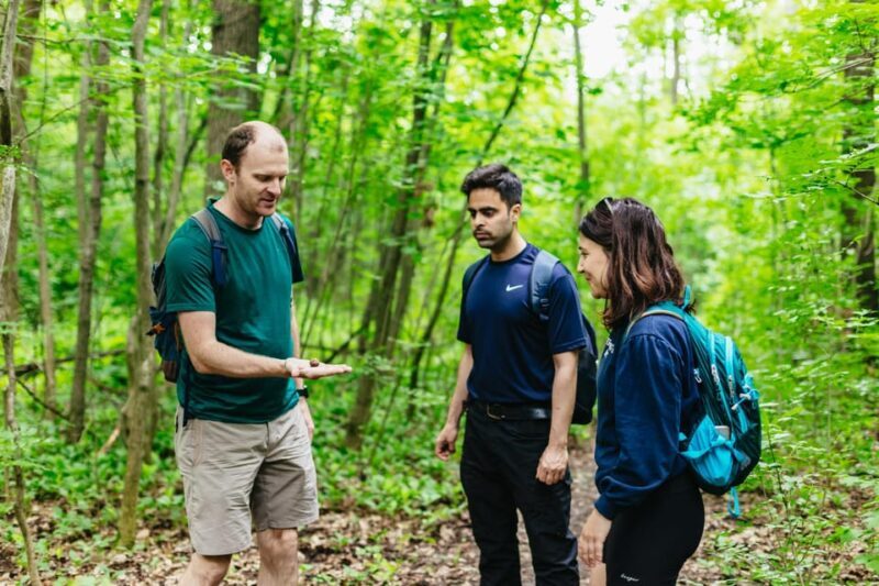 Budapest: Buda Hills Guided Hiking Tour with Optional Lunch - Exploring Budapest’s Buda Hills: A Guided Hiking Experience