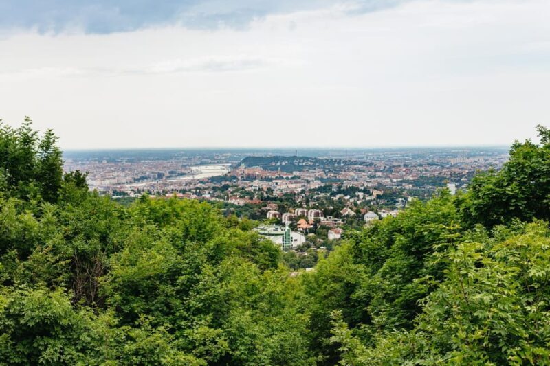Budapest: Buda Hills Guided Hiking Tour with Optional Lunch - Who Is This Tour Best For?