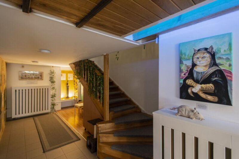 Budapest: Cat Museum Budapest Entry Ticket - A Deep Dive into the Cat Museum Budapest Experience