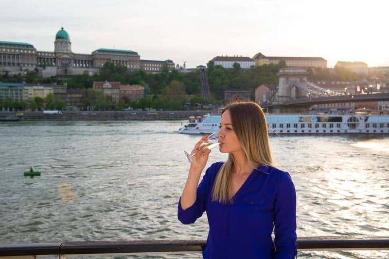 Budapest: Danube Cruise with Audioguide & Panorama Terrace - Detailed review of the Budapest Danube cruise experience