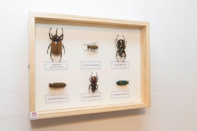 Budapest: Escape Room game, Secret Surgery - What to Expect During Your Escape Room Experience