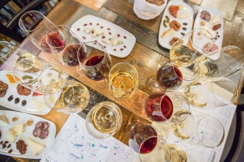 Budapest: Essentials of Hungarian Wine Tasting Class - Guides and Atmosphere