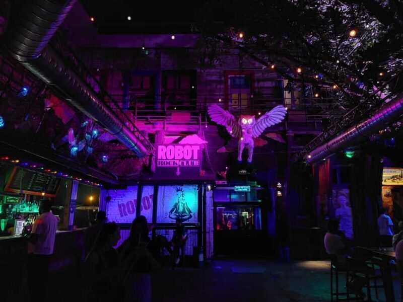 Budapest: Explore Iconic Bars on a Guided Ruin Bar Walk - A Deep Dive into the Ruin Bar Walk