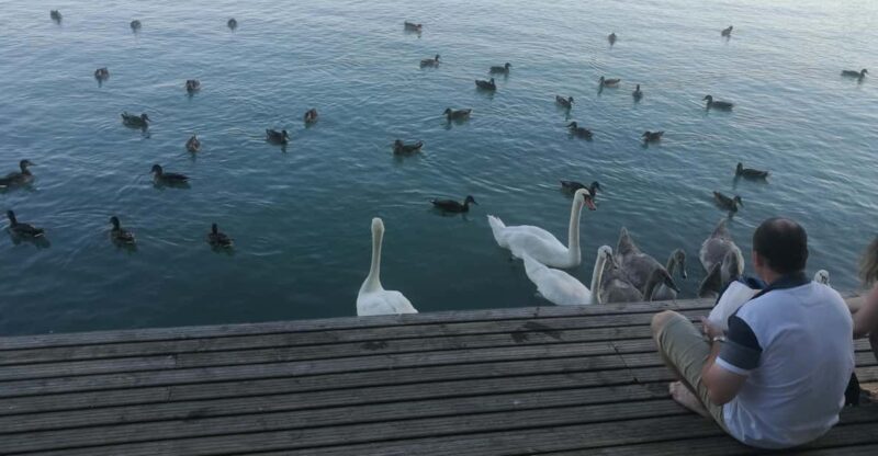 Budapest: Lake Balaton & Herend Porcelain Private Day Tour - Key Points