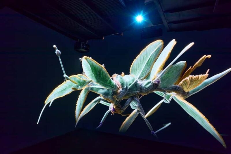 Budapest: Light Art Museum Skip-the-Line Entry Ticket - Practical Tips for Visiting