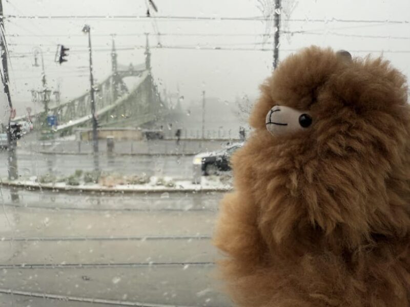 Budapest: Private 4-Hour City Tour by Car - A Deep Dive Into the Budapest Private Car Tour