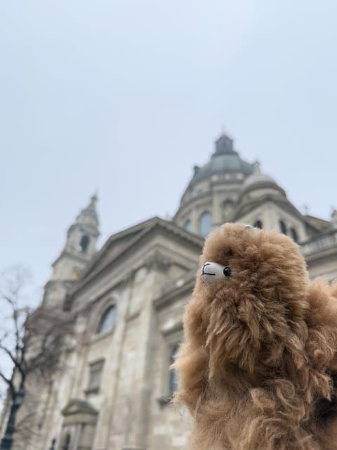 Budapest: Private 4-Hour City Tour by Car - Final Thoughts