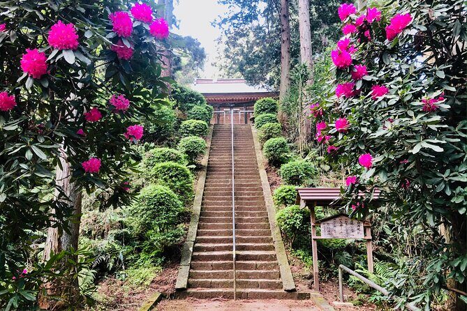 Buddha, Bamboo & Zen - Bespoke Kamakura Private Walking Tours - Key Points