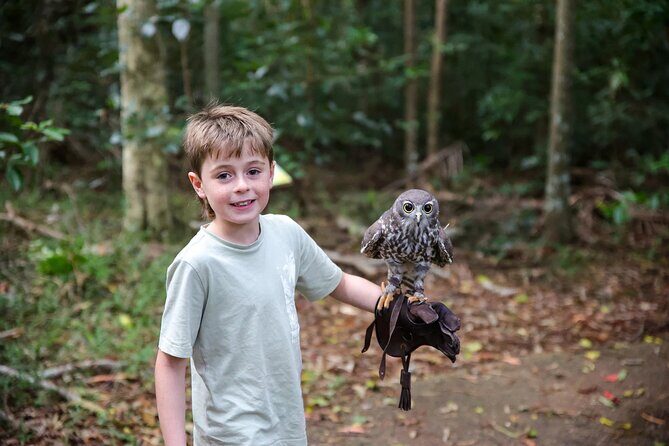 Buderim Forest Flight Owl Encounter and Tour - FAQ
