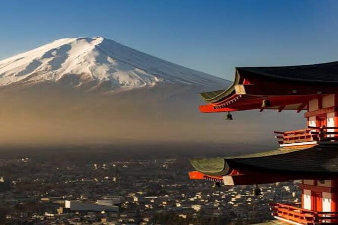 BUDO Tourism 2025 in TOKYO BUDOKAN - Final Thoughts: Who Would Love This Tour?