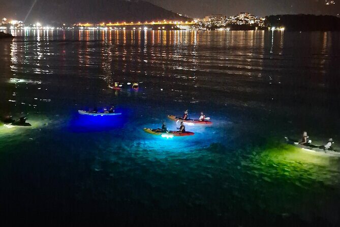Budva: 2-Hour «Night Lights» Kayak Tour - What to Expect During the Tour
