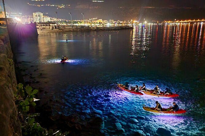 Budva: 2-Hour «Night Lights» Kayak Tour - Safety and Environmental Commitment