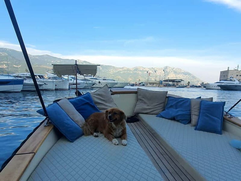 Budva: Private Sightseeing Boat Tour with Swimming & Drinks - Final Thoughts